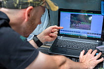Eric Ash of Freeland Foundation examining camera trap images showing Indochinese tiger (Panthera tigris corbetti), Dong Phayayen-Khao Yai Forest Complex, eastern Thailand, August, 2014.