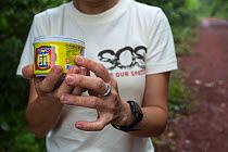 Scent bait used with Freeland camera traps, Dong Phayayen-Khao Yai Forest Complex, eastern Thailand, August, 2014.
