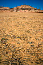 Ripples in sand and small hill.  Fuerteventura, Canary Islands. April 2013.