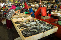 Fishermen and buyers at fish market, Bali, Indonesia, August 2014.