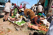People selling local produce in a busy street of Addis Mercato, the large open-air marketplace in the Addis Ketema district of Addis Ababa, Ethiopia. February 2009