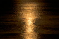 Sunset reflected on the surface of the Aegean Sea on a calm day, Evia Island, Greece. July 2014.