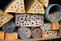Nest sites for solitary bees, drilled into logs, Chepstow, Wales, UK August.