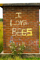 Graffiti on old bus stop saying 'I love bees', Gower, West Wales, UK. August 2014.