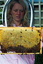 Heather Moore, bee consultant with frame of honey bees (Apis mellifera) in garden. Bristol, Avon, England, UK. August 2014.