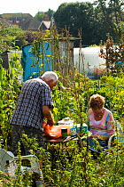 Couple having meal in allotments surrounded by bee pollinated plants such as beans, Eastbourne, East Sussex, England, UK, September 2014.