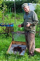 Homemade Wax extractor for melting down bees wax, in allotments Cwmbran, Gwent, Wales, UK. August 2014.