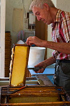 Beekeeper Nick Hunt removing wax from honeycomb. Usk, Gwent, Wales, UK. August 2014.
