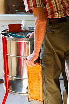 Beekeeper Nick Hunt taking honey comb to honey extracting machine, Usk, Gwent, Wales, UK. August 2014.