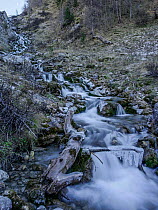 Icy mountain stream, Val d'Escreins, Queyras Regional Park, Hautes-Alpes, France, October 2014.
