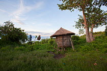 Maize cob storage hut on stilts, Mfangano Island, Lake Victoria, Kenya, April 2013.