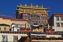 Ganden Sumtseling monastery Gyaitang Zong, Zhongdian County, Yunnan Province, China, January 2014.