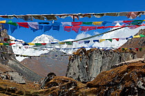 Prayer flags with a view of Jhomolhari 1, Jhomolhari 2 and Jichu Drakye from the false summit on the way to Bhonte La Pass, Jhomolhari Trek. Bhutan, October 2014.