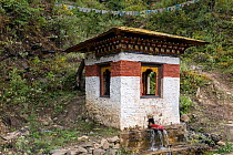 Phallic water spout on a stupa (chorten) inspired by the 'Divine Mad Man' Drukpa Kunley who is said to have given blessings to women via intercourse, Paro River Valley. Bhutan, October 2014.