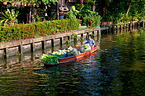 Boat loaded with produce to sell at the Ladmayom Floating Market near Bangkok. Thailand, September 2014.