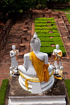 Buddhas with yellow sashes, at Wat Yai Chaya Mongkol, Ayutthaya. Thailand, September 2014.