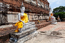 Statues of Buddha (in Calling the Earth to Witness posture) with yellow sashes, at Wat Yai Chaya Mongkol, Ayutthaya, Thailand, September 2014.