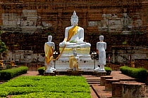 Statue of Buddha with yellow sash in (Calling the Earth to Witness posture) Wat Yai Chaya Mongkol, Ayutthaya. Thailand, September 2014.
