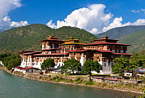 Punakha Dzong, built on the confluence of the Mo Chhu and Pho Chhu River. Bhutan, October 2014.