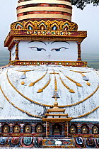 Tibetan style stupa with face, Punakha, Bhutan, October 2014.