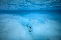 Underwater view of meltwater channels and ponds, with cryoconite holes on the ground. Ice cap north-east of Sermeq Kujalleq Glacier, UNESCO World Heritage Site, Kalaallit Nunaat, Greenland, August 201...