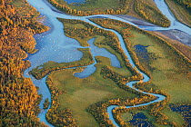 The Laitaure delta in the Sarek National Park. World Heritage Laponia, Swedish Lapland, Sweden. September 2009.