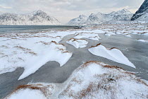 Icy coastal landscape. Flakstad, Lofoten, Nordland, Norway. January 2010.