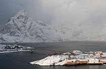 Sakrisoy island, Kirkefjorden. Moskenes, Lofoten, Nordland, Norway. March 2013.
