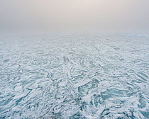 New ice forming in late autumn, north of Spitsbergen, Svalbard, Norway, September.