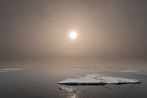 Ice floes with sun coming through fog, Svalbard, Norway, July.