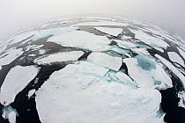 Ocean ice floes north of Spitsbergen, Svalbard, Norway, July.