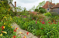 Herbaceous border in garden at Great Dixter House, Kent, England, UK. May 2014.