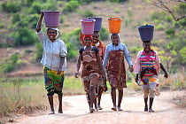 Woman carrying buckets of water on the head, coming back from the well, Anjaha Community Conservation Site, near Ambalavao, Madagascar. November 2014.