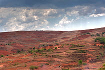 Typical eroded landscape between Antananarivo and Antsirabe along the RN7, Madagascar.