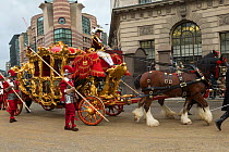 The Lord Mayor's golden State Coach pulled by six bay shires, leaves Mansion House, during the 799th Lord Mayor show, London, United Kingdom. November 2014.