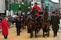 Two warmblood horses pull a carriage during the 799th Lord Mayor show, London, United Kingdom. November 2014.