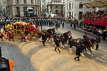 The Lord Mayor arrives at Mansion House in the golden State Coach pulled by six bay shires, during the 799th Lord Mayor show, London, United Kingdom. November 2014.