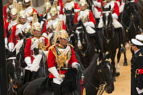 The Household Cavalry parades during the 799th Lord Mayor show, London, United Kingdom. November 2014.