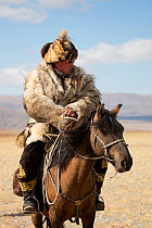 Eagle hunter mounted on Mongolian horse at Eagle Hunters Festival, near Sagsai, Bayan-Ulgii Aymag, Mongolia. September 2014..