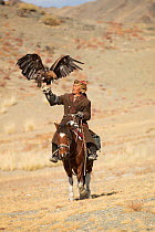 Eagle hunter mounted on Mongolian horse with his female Golden eagle (Aquila chrysaetos) at Eagle Hunters Festival, near Sagsai, Bayan-Ulgii Aymag, Mongolia. September 2014..