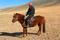 Tuva Hersdman on his Mongolian horse, Tsengel Khairkhan, near the border with China and Kazakhstan, Bayan-Olgiy aymag, Mongolia. September.