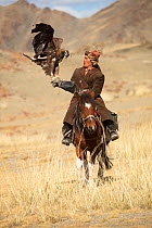 Eagle hunter mounted on Mongolian horse with his  with his female Golden eagle (Aquila chrysaetos) near Sagsai, Bayan-Ulgii Aymag, Mongolia. September 2014..