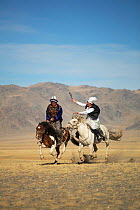 Eagle hunter woman whipping man on slow Mongolian horse to try to slow him down during game at the Eagle hunter's festival. She is on a faster horse but if he wins the game he is entitled to a kiss....