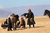 Eagle hunters rest with their Mongolian horses and female Golden eagles (Aquila chrysaetos) during the Eagle Hunters Festival, near Sagsai, Bayan-Ulgii Aymag, Mongolia. September 2014..