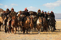 Eagle hunters mounted on their Mongolian horse parade with their female Golden eagles (Aquila chrysaetos), at the Eagle Hunters Festival, near Sagsai, Bayan-Ulgii Aymag, Mongolia. September 2014..