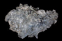 Palygorskite or attapulgite, a magnesium aluminium phyllosilicate, Medlin falls, Washington, USA.
