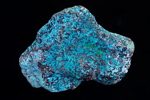 Shattuckite, a copper bearing mineral, Tantara mine, Katanga province, Democratice Republic of Congo, Africa.