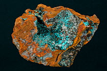 Rosasite, a copper zinc carbonate hydroxide, Mapimi, Mexico.