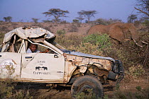 Daniel Lentipo driving the former research vehicle destroyed by bull elephant in Samburu National Reserve, Kenya. August 2009. Model Released.