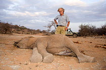 Iain Douglas-Hamilton looking at poached African elephant (Loxodonta africana), Kenya. Model released